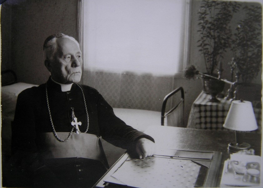 Teofilius Matulionis